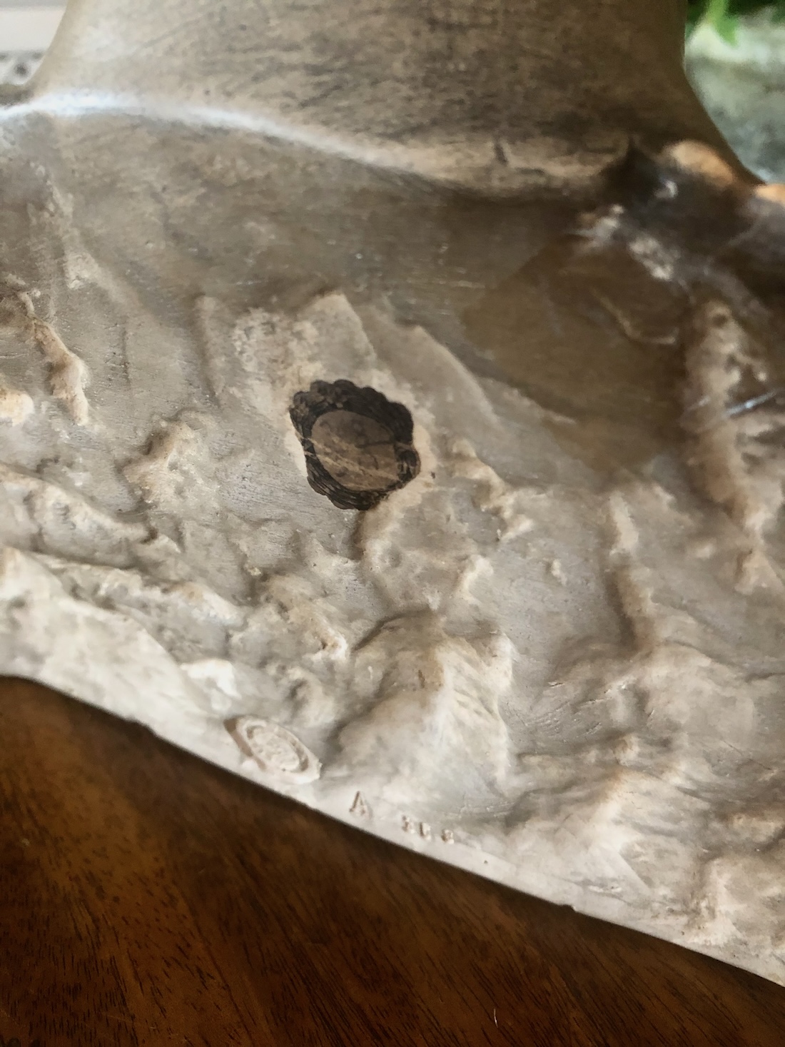 A 19th Century Austrian Bust of St John the Baptist after Antonio Rossellino (1427-1479) - Image 7